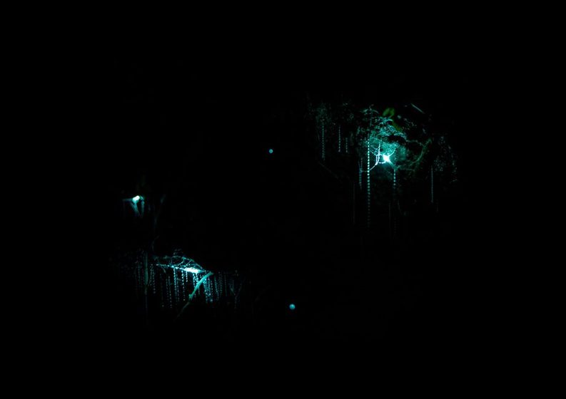 Personagem inseto samurai com espada em caverna bioluminescente, referência a Hollow Knight Silksong